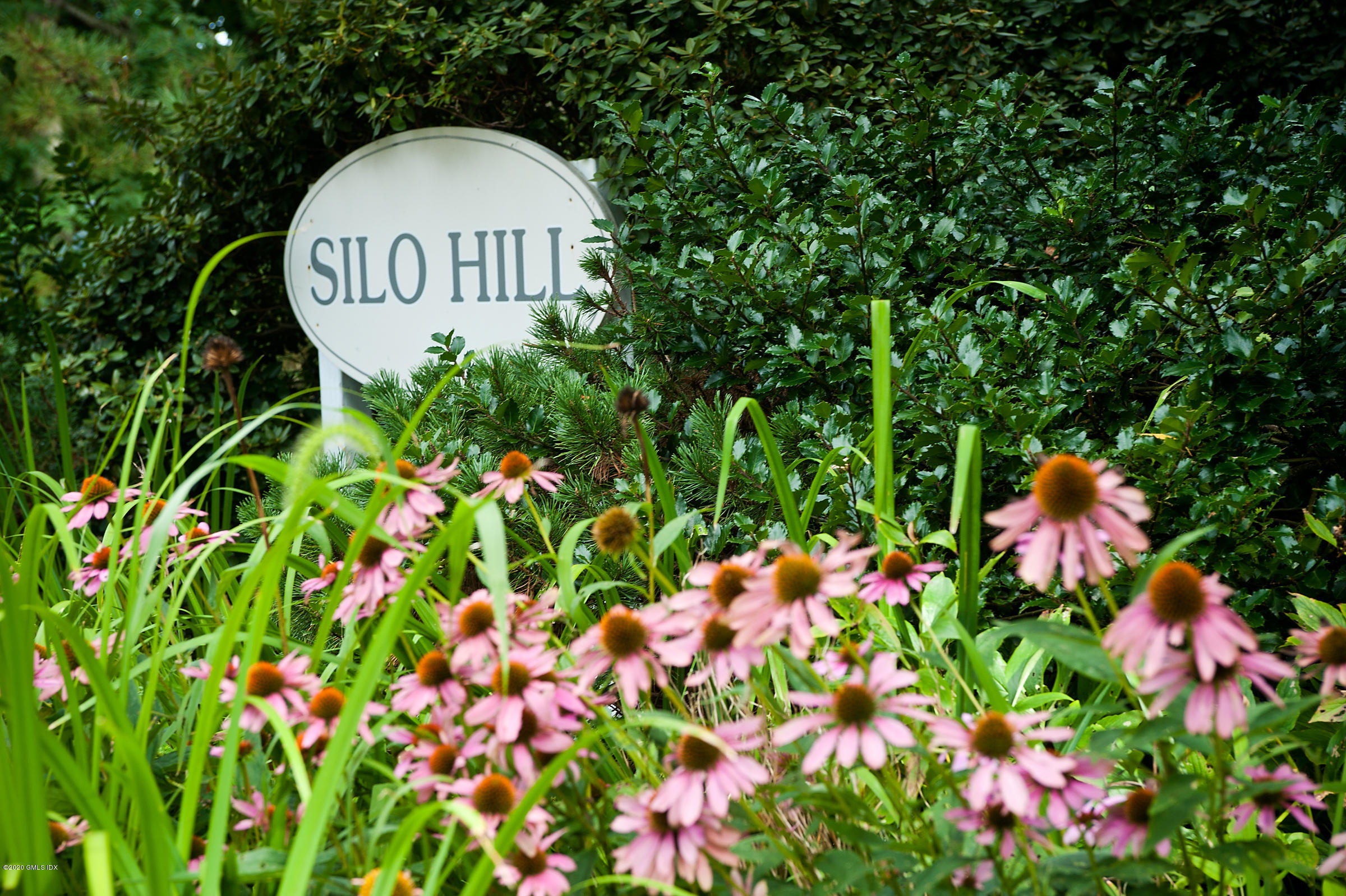 78 Silo Circle Riverside, CT 06878 - Photo 2 of 27 a view of a flower in a garden