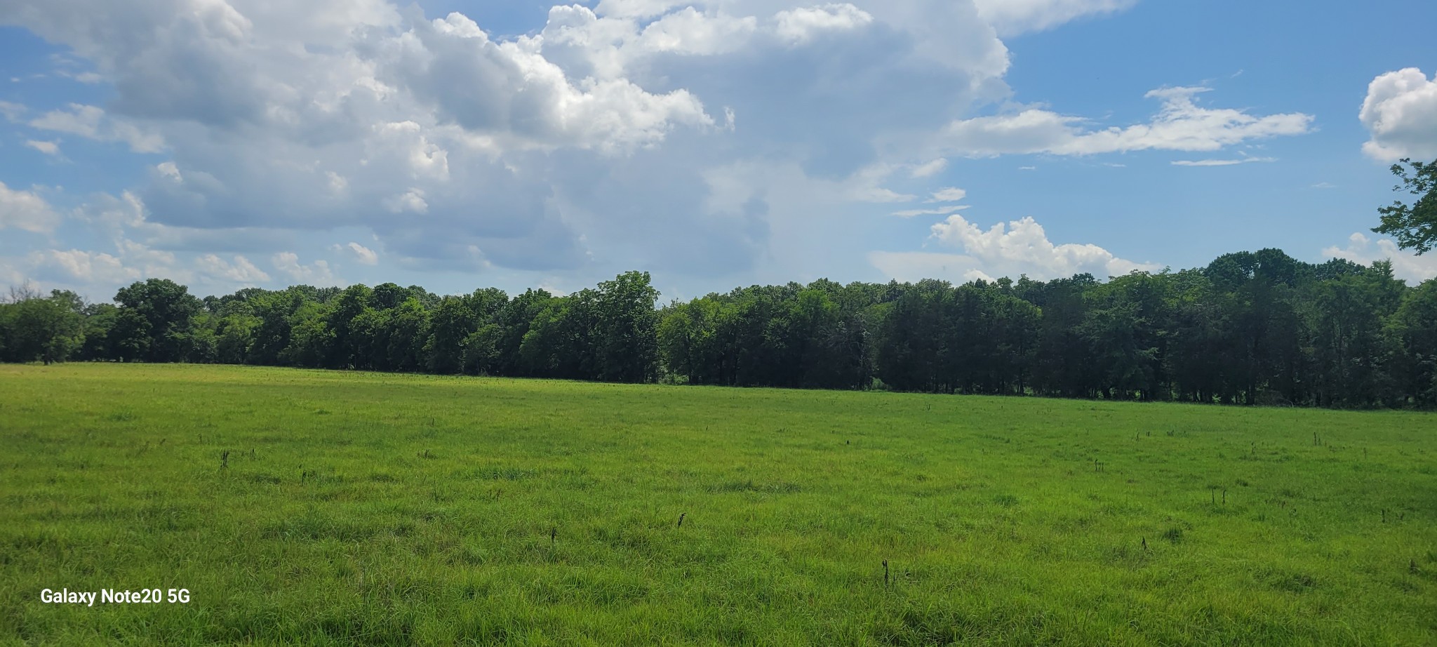 10 Beasley Road Chapel Hill, TN 37034 - Photo 1 of 1 Gallery Image 1