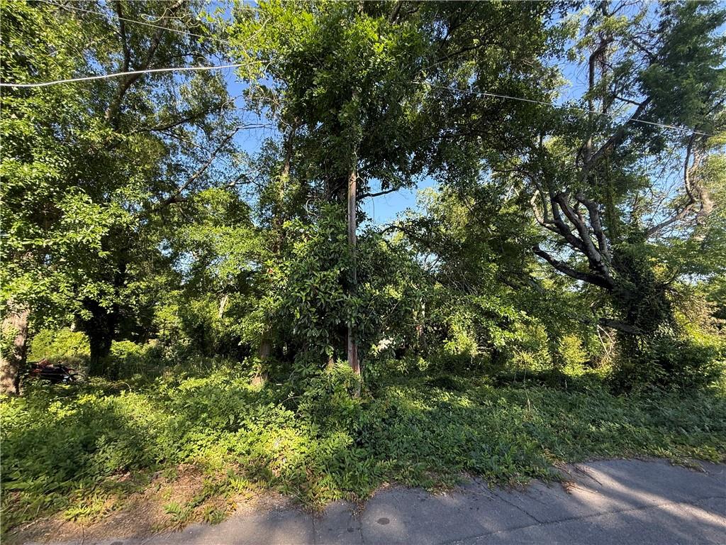 0 Hopewell Street Rome, GA 30161 - Photo 2 of 5 a view of a yard with plants and large trees