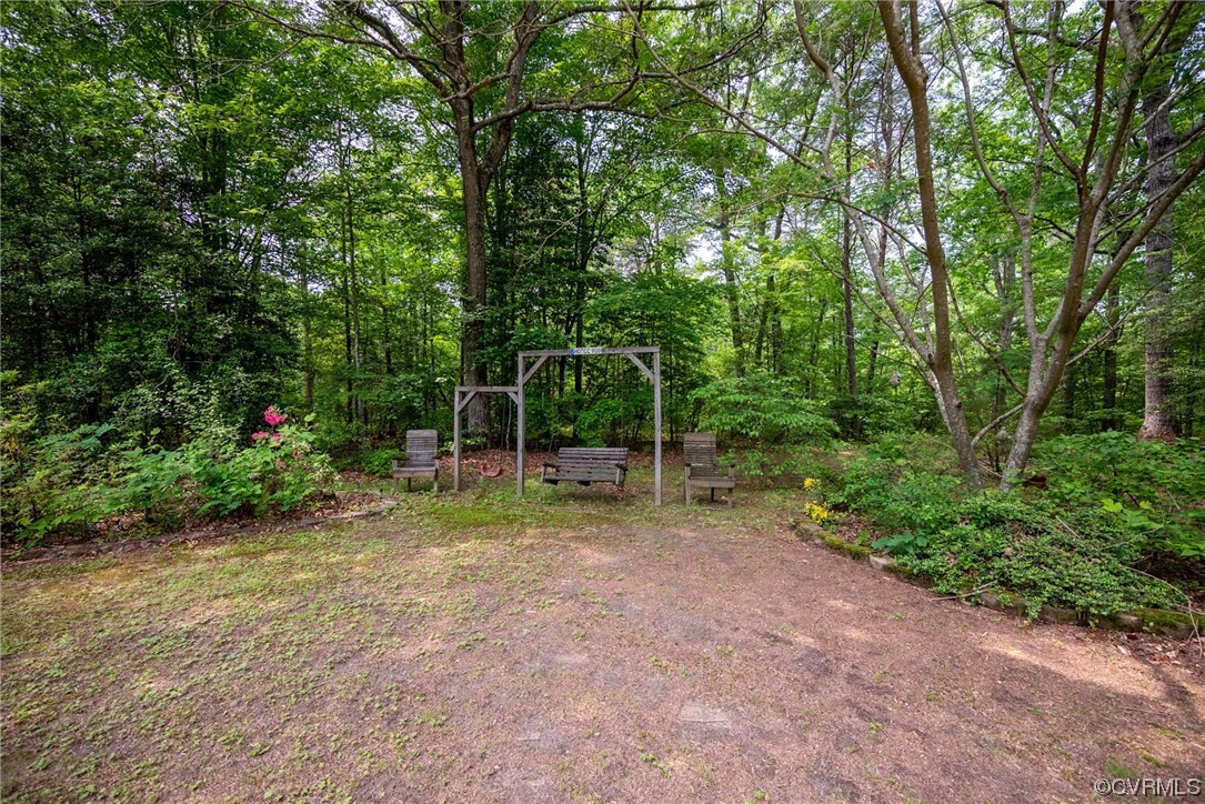 648 New Dragon Bridge Road Mascot, VA 23108 - Photo 24 of 43 a view of outdoor space and garden