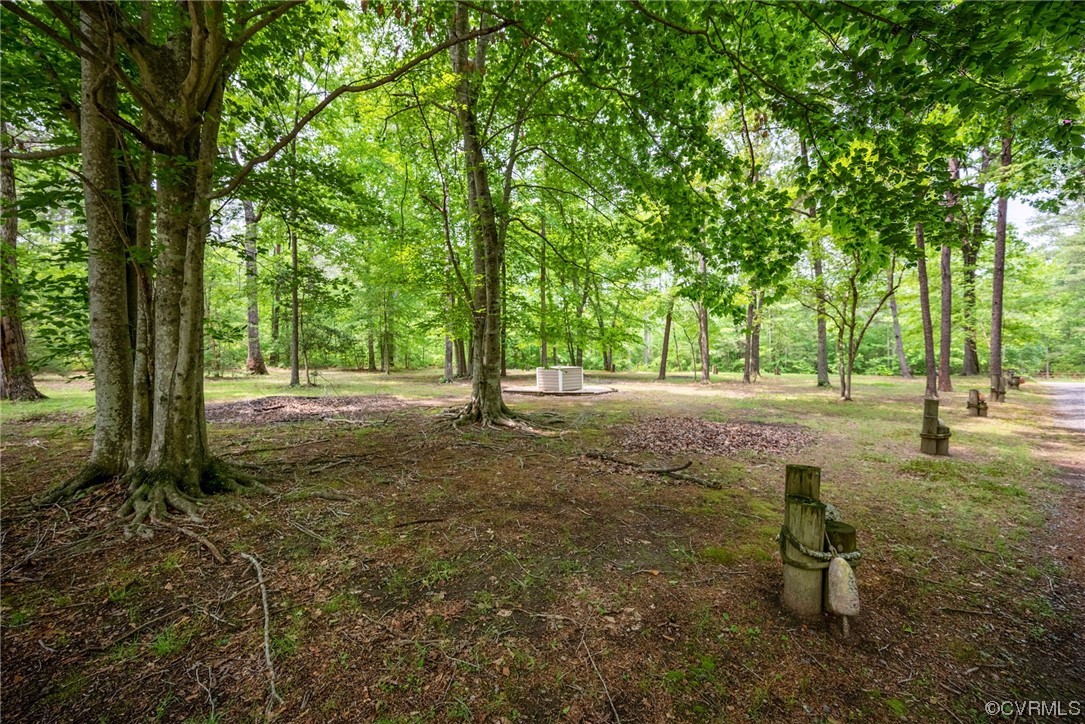 648 New Dragon Bridge Road Mascot, VA 23108 - Photo 25 of 43 a backyard of a house with lots of green space