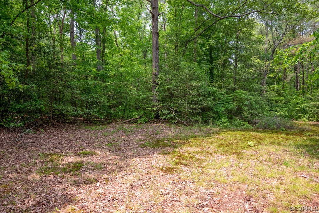 648 New Dragon Bridge Road Mascot, VA 23108 - Photo 34 of 43 a view of a yard with a tree