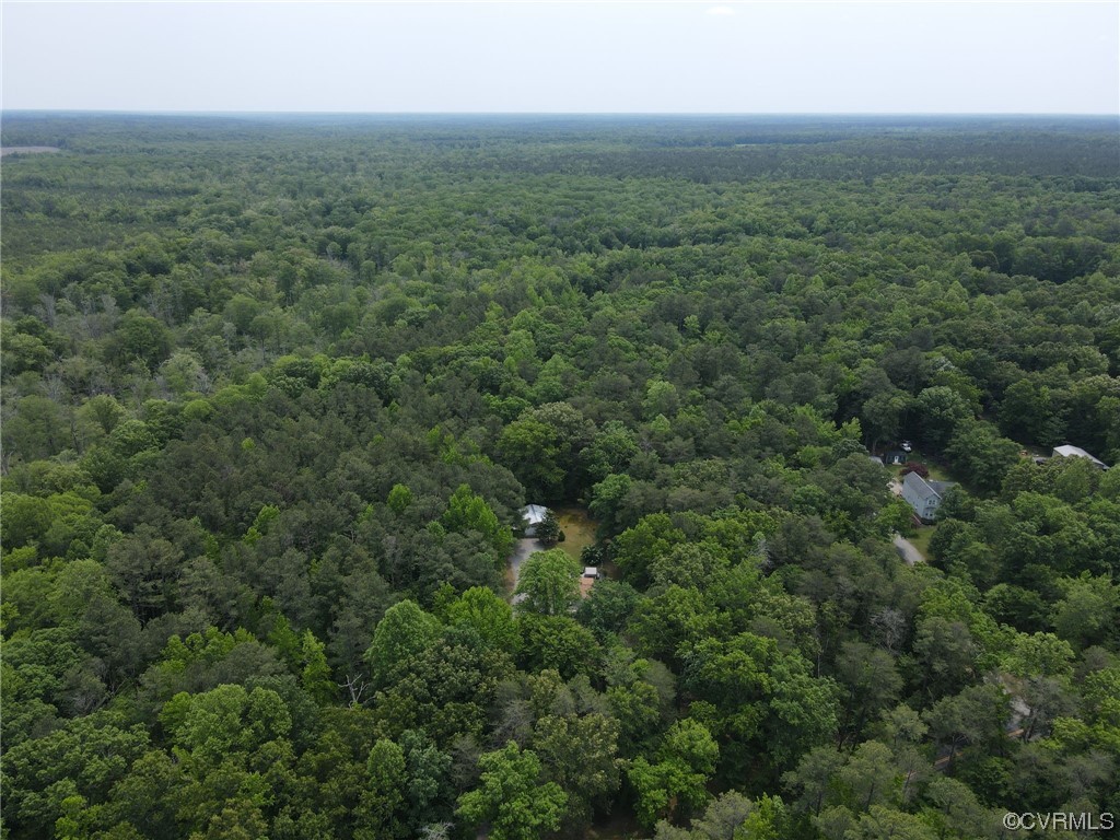 648 New Dragon Bridge Road Mascot, VA 23108 - Photo 37 of 43 an aerial view of residential houses with outdoor space and trees