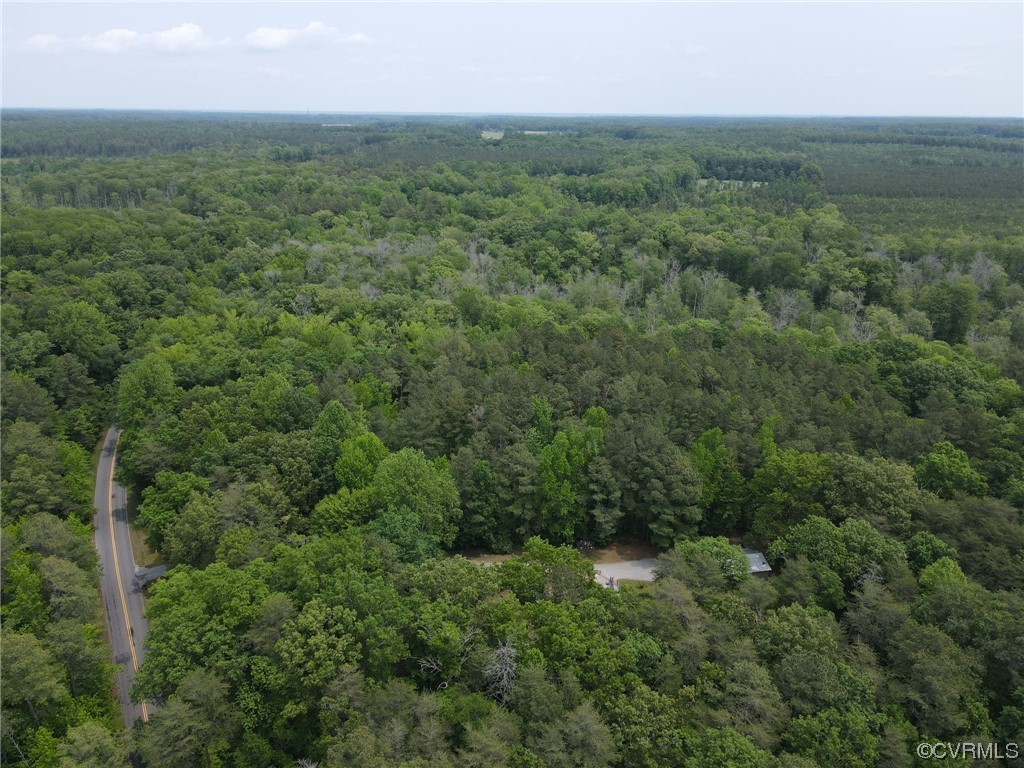648 New Dragon Bridge Road Mascot, VA 23108 - Photo 38 of 43 a view of a green field with lots of trees