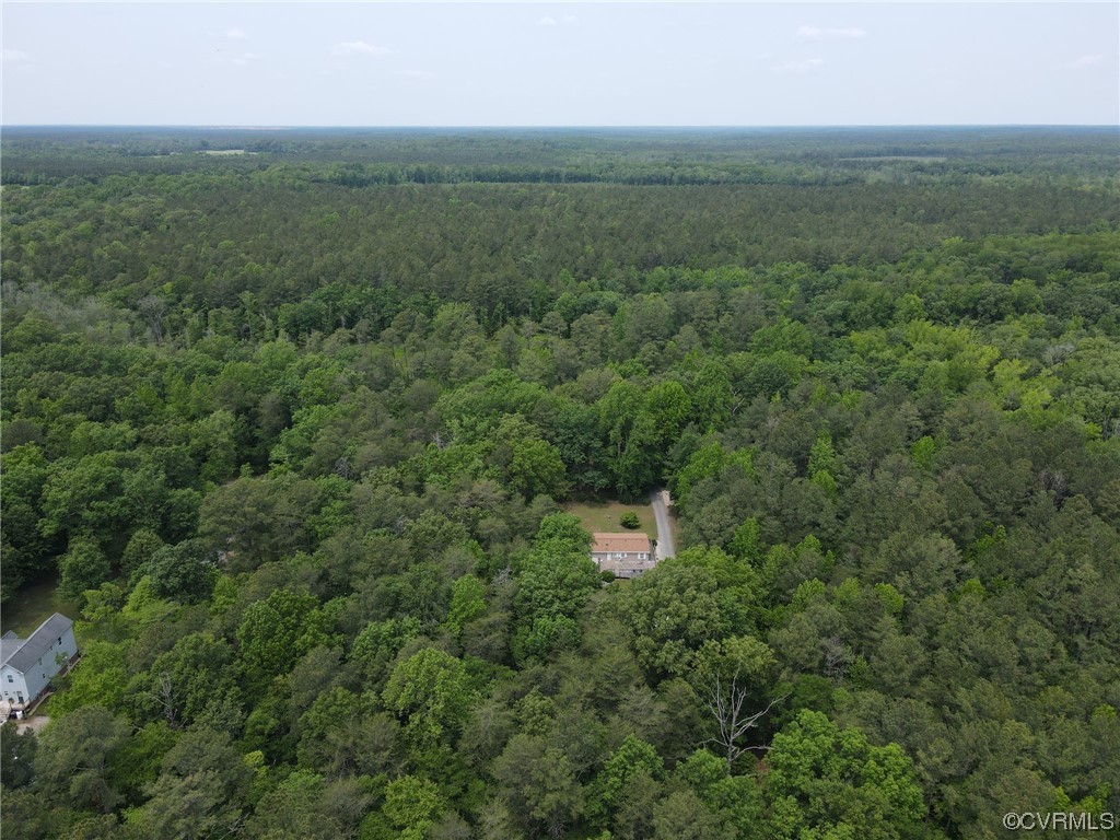 648 New Dragon Bridge Road Mascot, VA 23108 - Photo 39 of 43 a view of a outdoor space and a sink