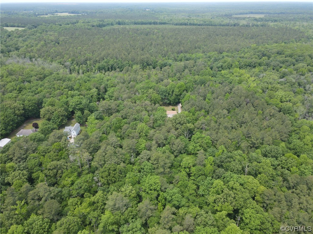 648 New Dragon Bridge Road Mascot, VA 23108 - Photo 41 of 43 a view of a green field with an ocean view