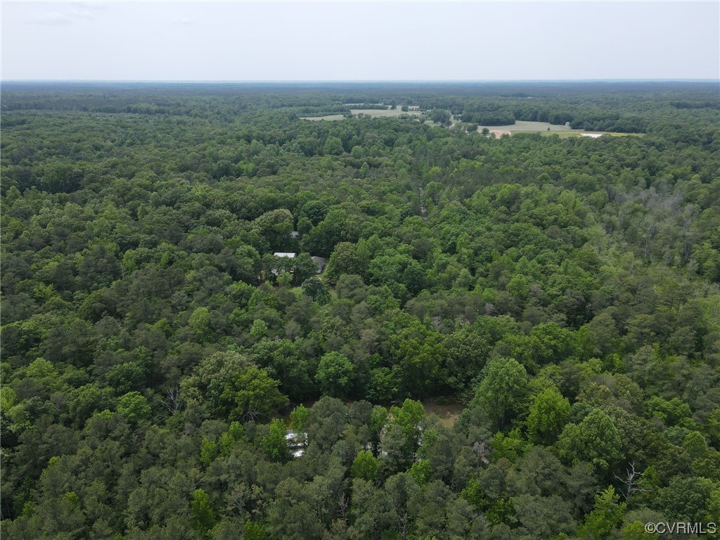 648 New Dragon Bridge Road Mascot, VA 23108 - Photo 42 of 43 an aerial view of houses covered in trees