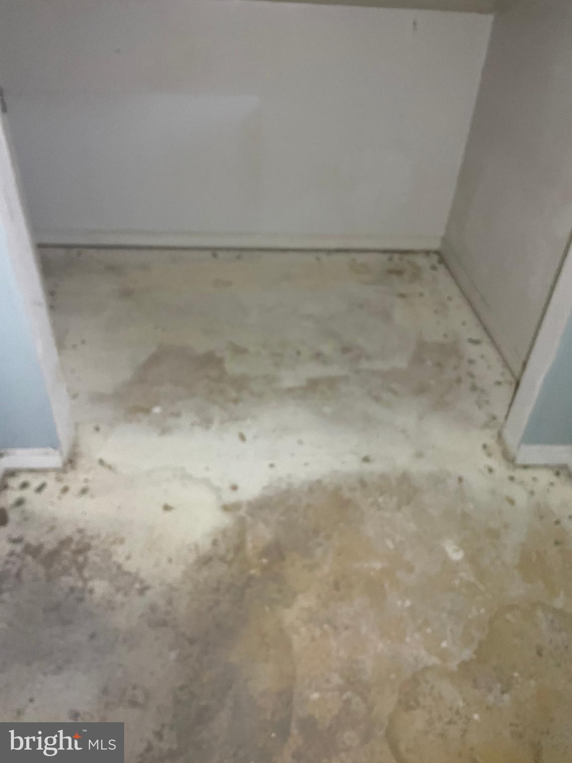 227 Beachside Cove Locust Grove, VA 22508 - Photo 23 of 24