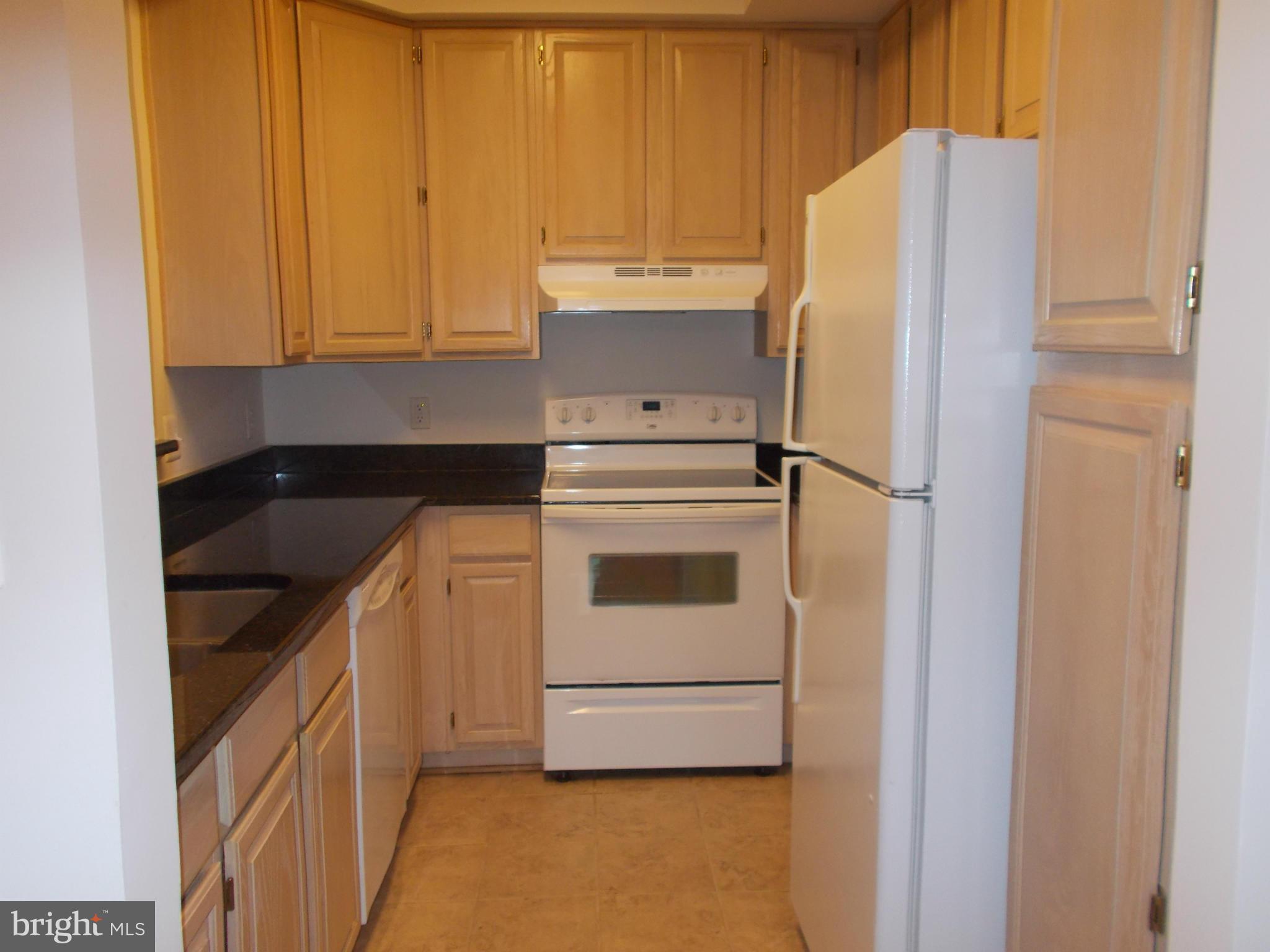 1371 Garden Wall Circle, Unit 713 Reston, VA 20194 - Photo 4 of 12 Kitchen