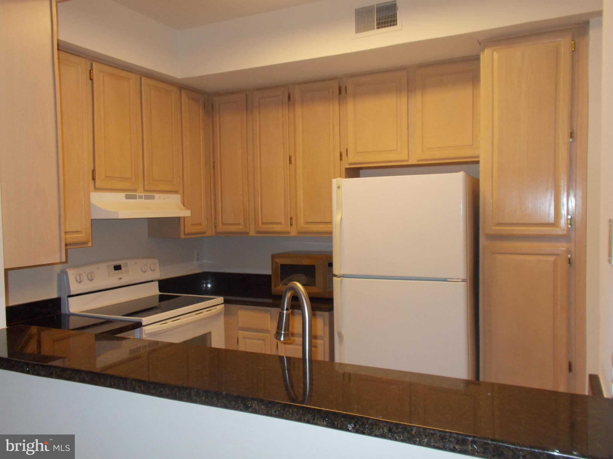 1371 Garden Wall Circle, Unit 713 Reston, VA 20194 - Photo 5 of 12 Kitchen