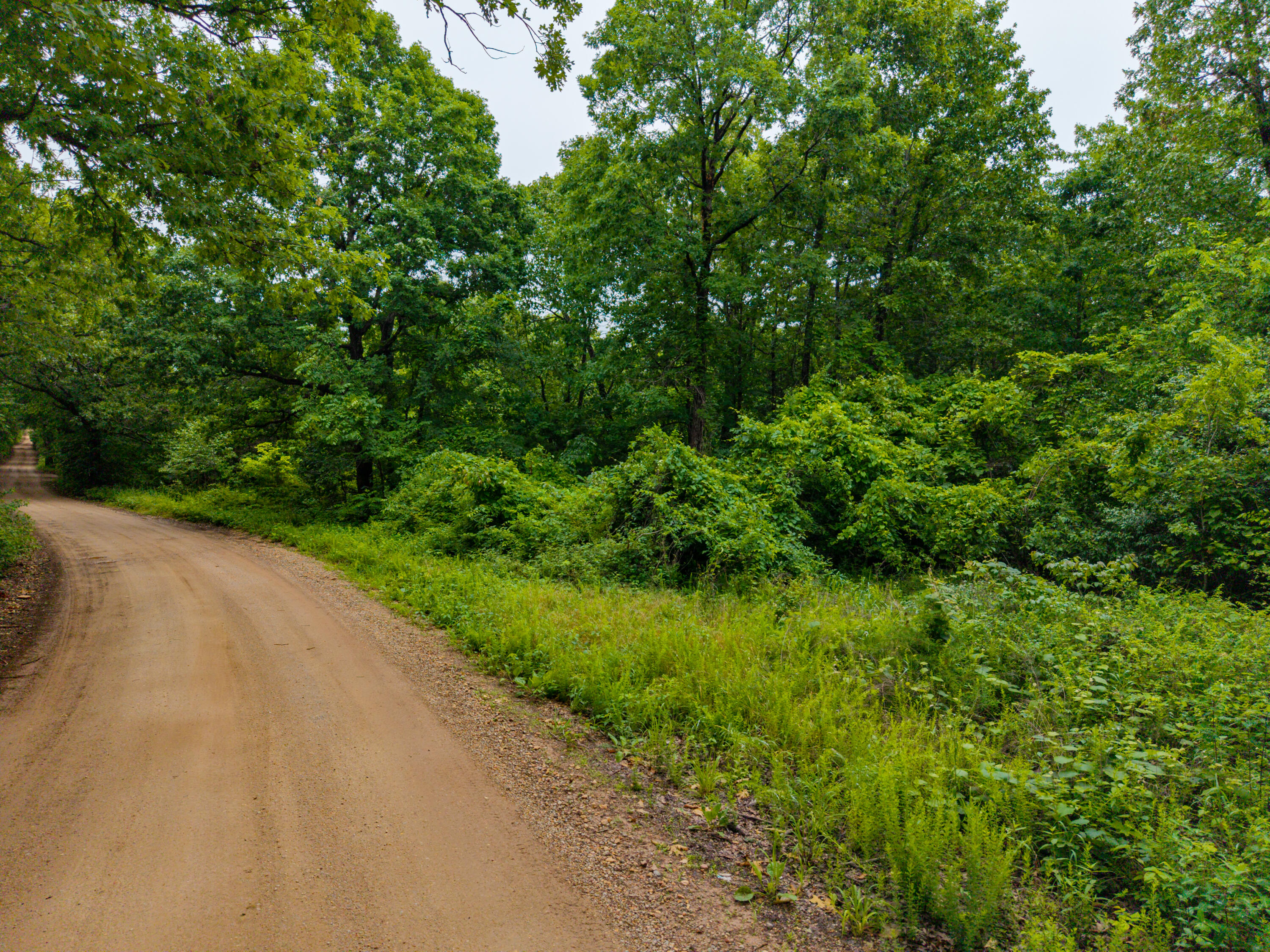 0 Co Road, Unit TRACT 5 Hardenville, MO 65666 - Photo 9 of 9 N 1 Hardenville-10