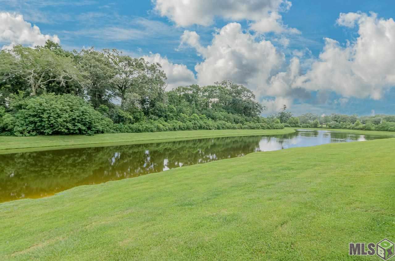 38469 Brown Road Prairieville, LA 70769 - Photo 24 of 25 Gallery Image 24