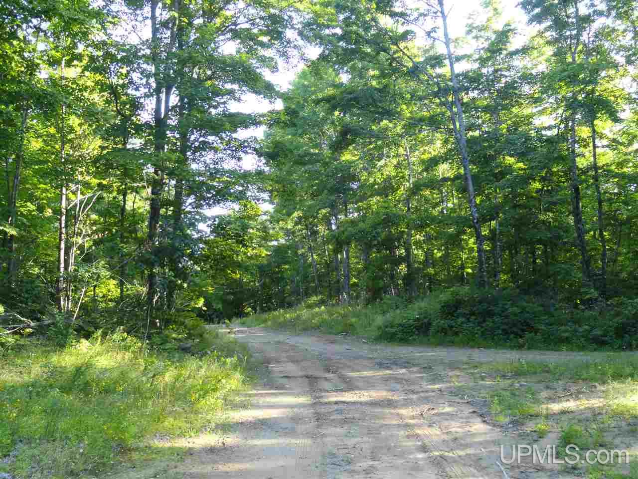 80 SOUTH Off Co Road Ishpeming, MI 49849 - Photo 14 of 20