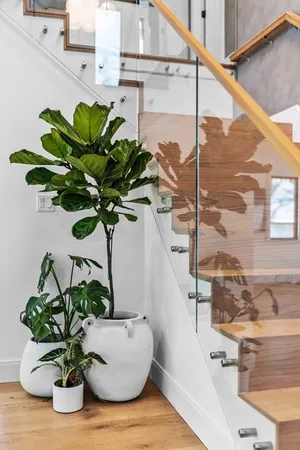 a view of a flower pot