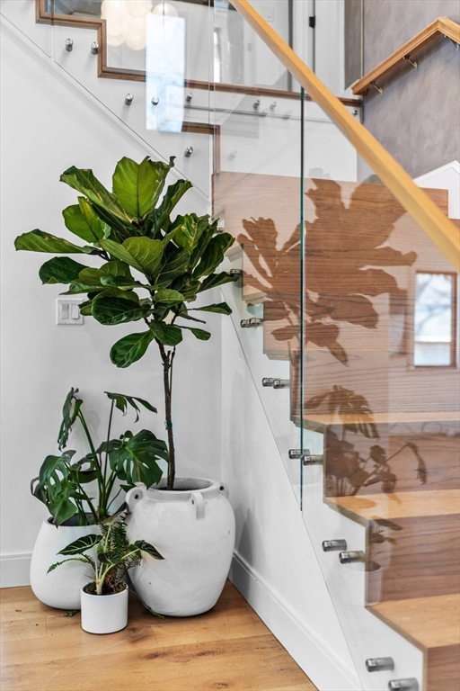 45 Rowena Road Newton, MA 02459 - Photo 3 of 42 a view of a flower pot