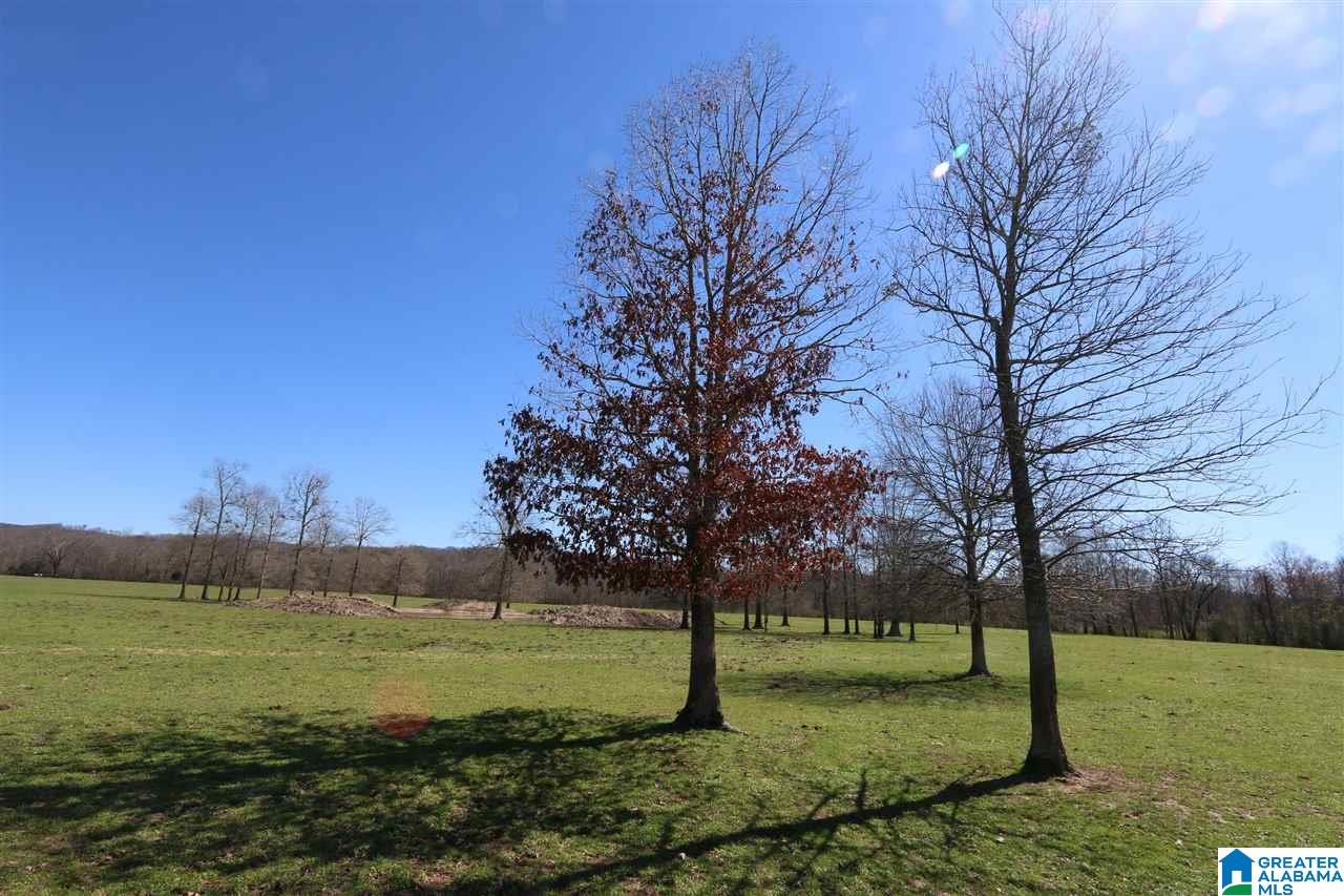 0 Double Bridge Road, Unit 286 Ashville, AL 35953 - Photo 33 of 34