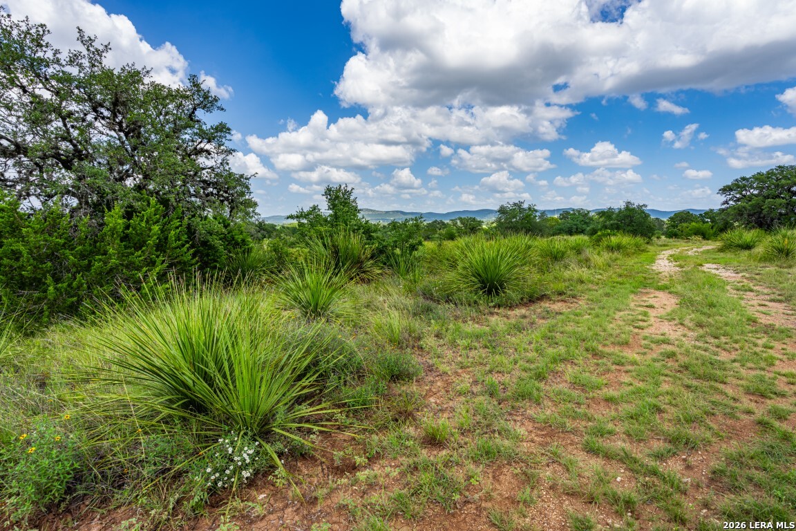 1040 Panther Hill Road Utopia, TX 78884 - Photo 33 of 49 a view of a garden