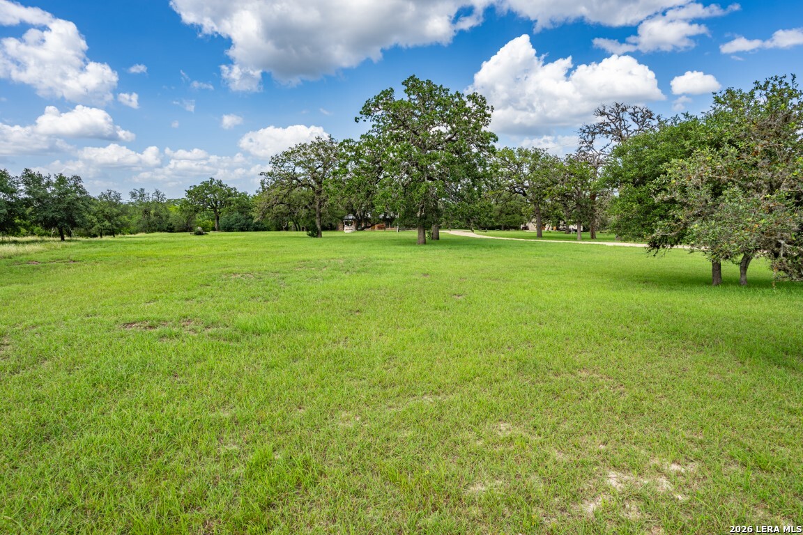 1040 Panther Hill Road Utopia, TX 78884 - Photo 43 of 49 a view of a field of grass and trees