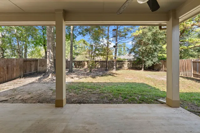 a view of a yard with plants and trees