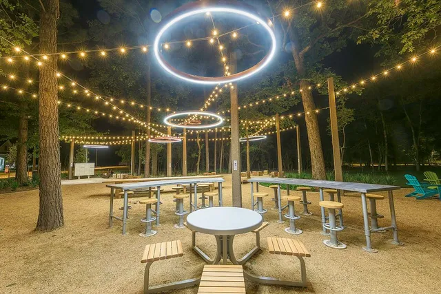 a view of a park with big tree