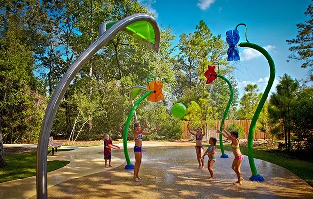 $2,675 | 208 Forest Peak Way, Montgomery, TX 77316