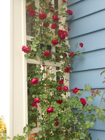 62 Tanager Road Attleboro, MA 02703 - Photo 27 of 29 Gallery Image 27