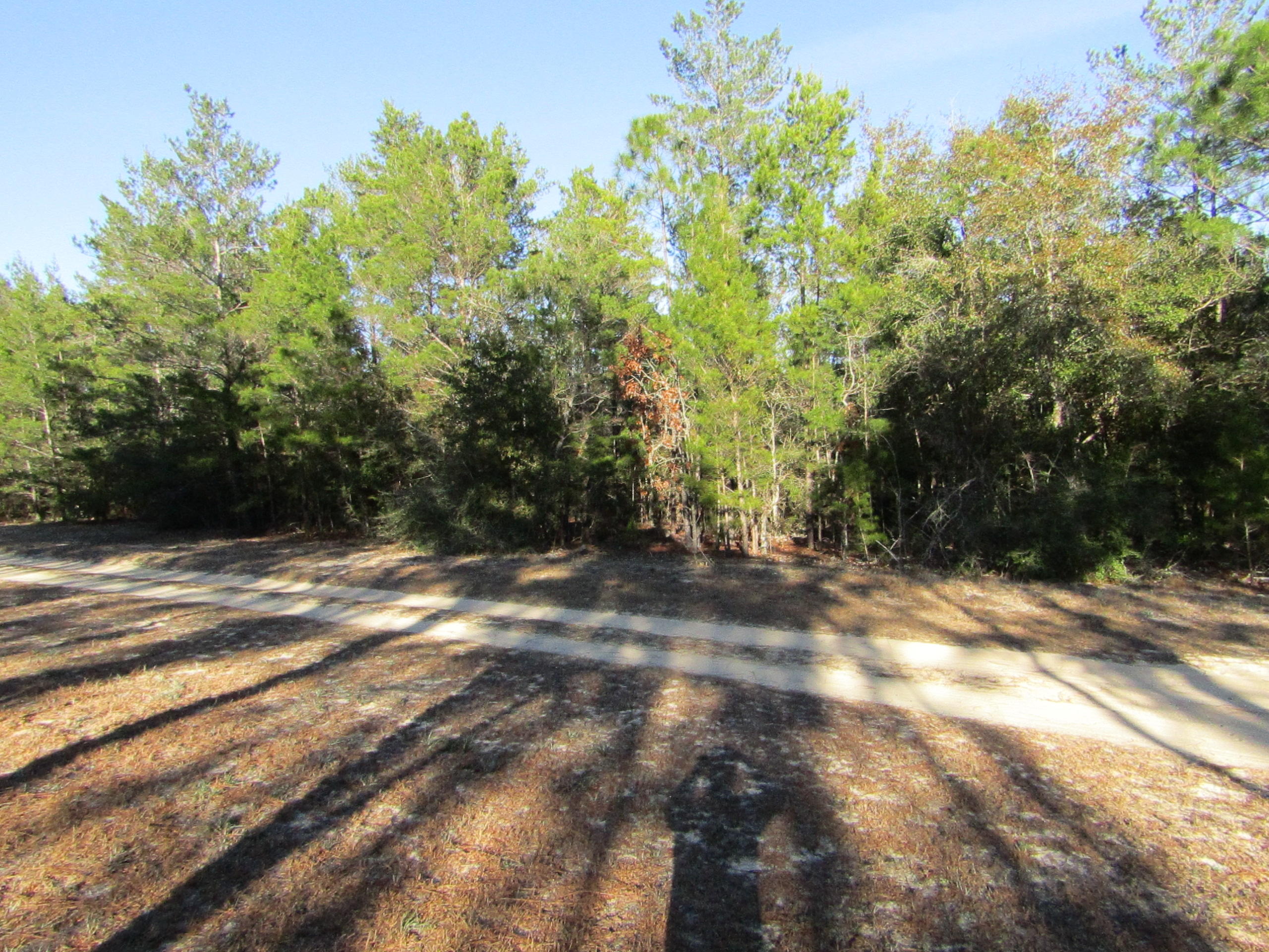 Xxxx Hannah Branch Road Crestview, FL 32539 - Photo 1 of 2 Gallery Image 1
