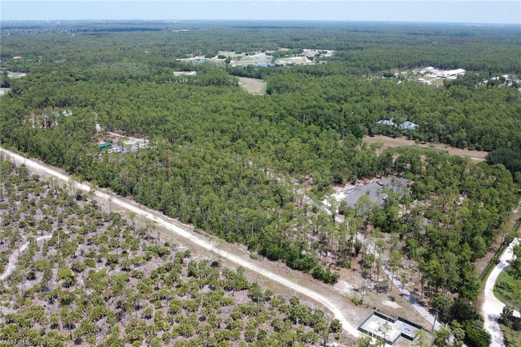 2825 Jenkins Way Naples, FL 34117 - Photo 42 of 50 a view of a city with lush green forest