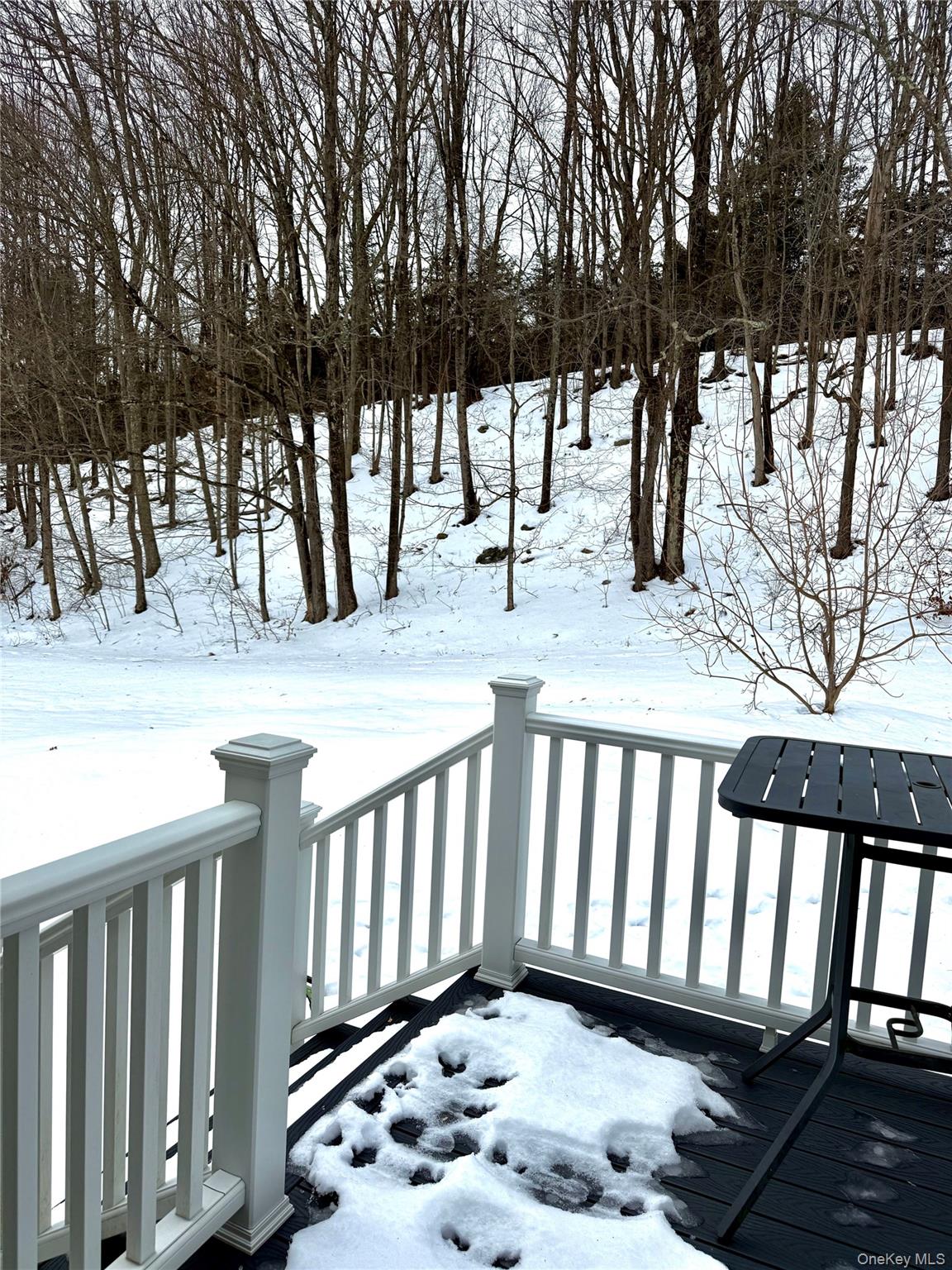 91-97 Sawmill Road Red Hook, NY 12571 - Photo 7 of 8 View of snow covered deck