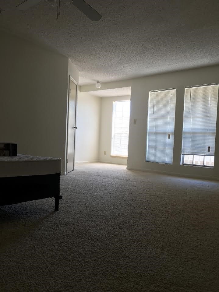 7575 Cambridge Street, Unit 1004 Houston, TX 77054 - Photo 14 of 23 a view of room with window and a ceiling fan