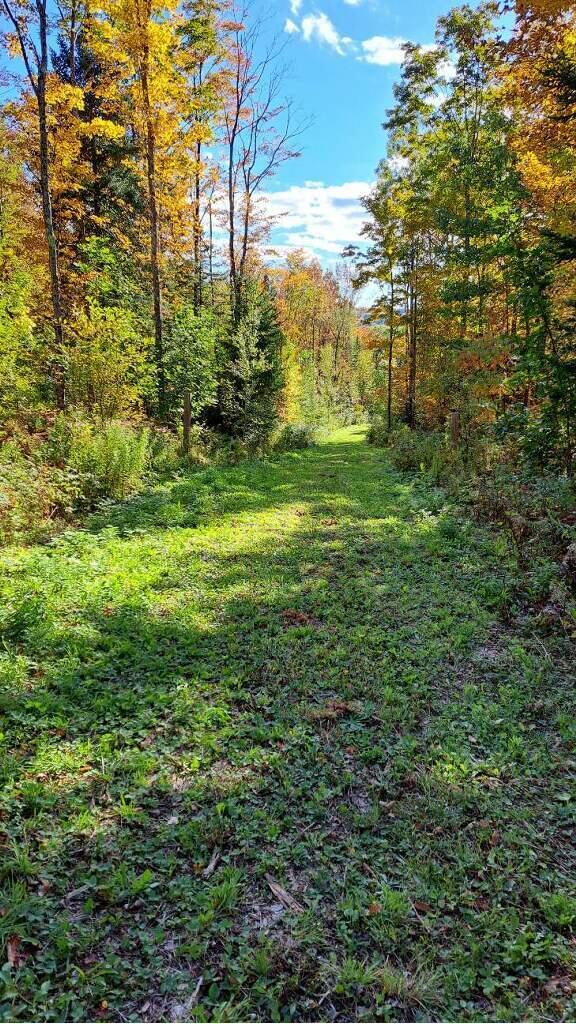 0 Sawyers Mills Road Starks, ME 04911 - Photo 8 of 14 Road