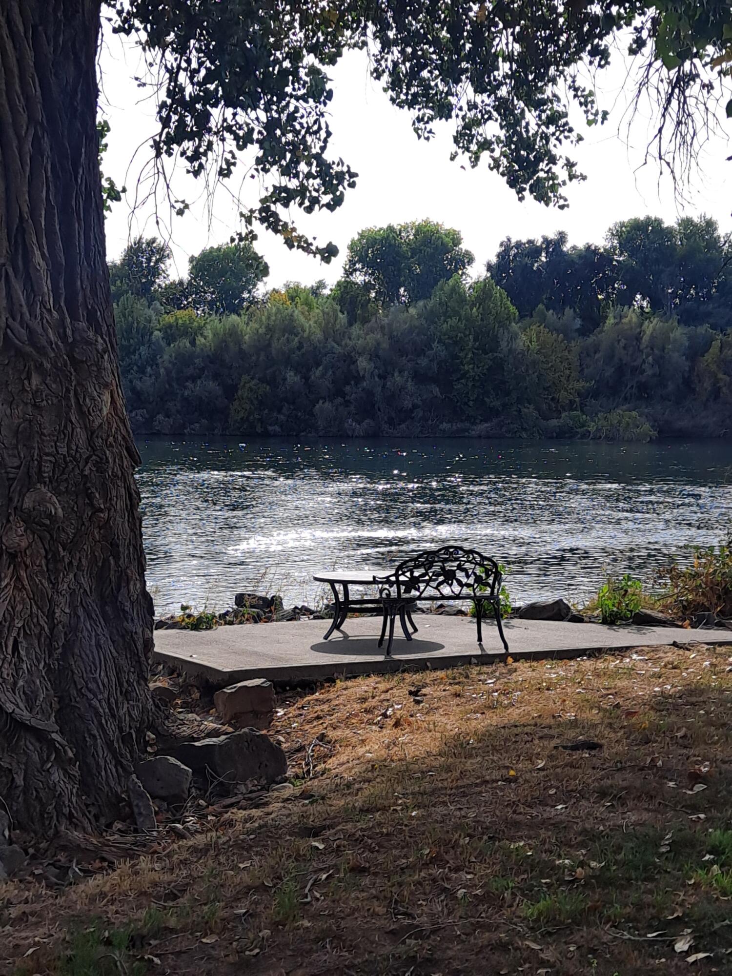 11705 Parey Avenue, Unit 7 Red Bluff, CA 96080 - Photo 26 of 34 a view of a lake with a yard