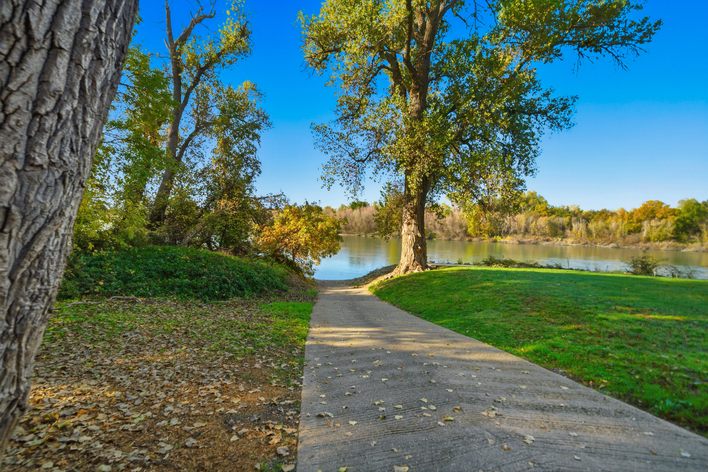 11705 Parey Avenue, Unit 7 Red Bluff, CA 96080 - Photo 28 of 34 a view of a yard with plants and trees