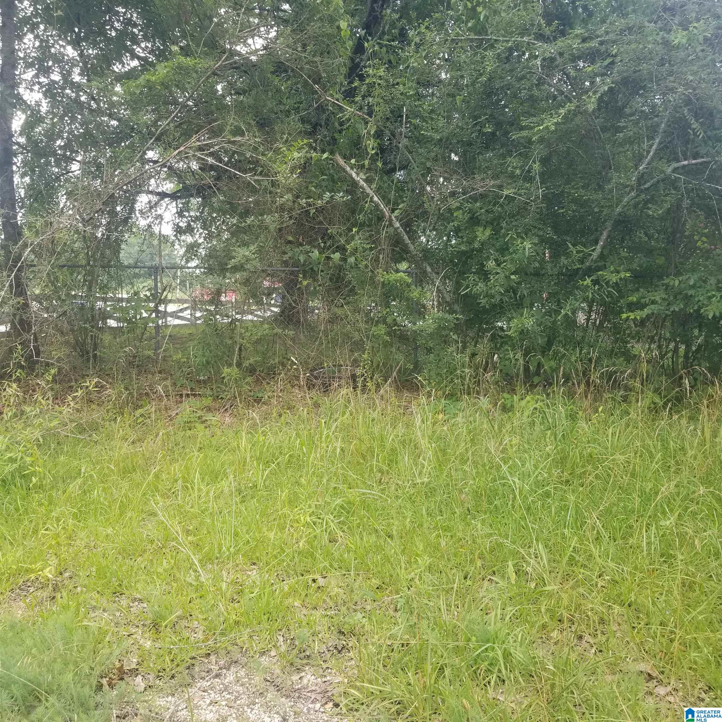 11284 Us Highway Riverside, AL 35135 - Photo 14 of 20