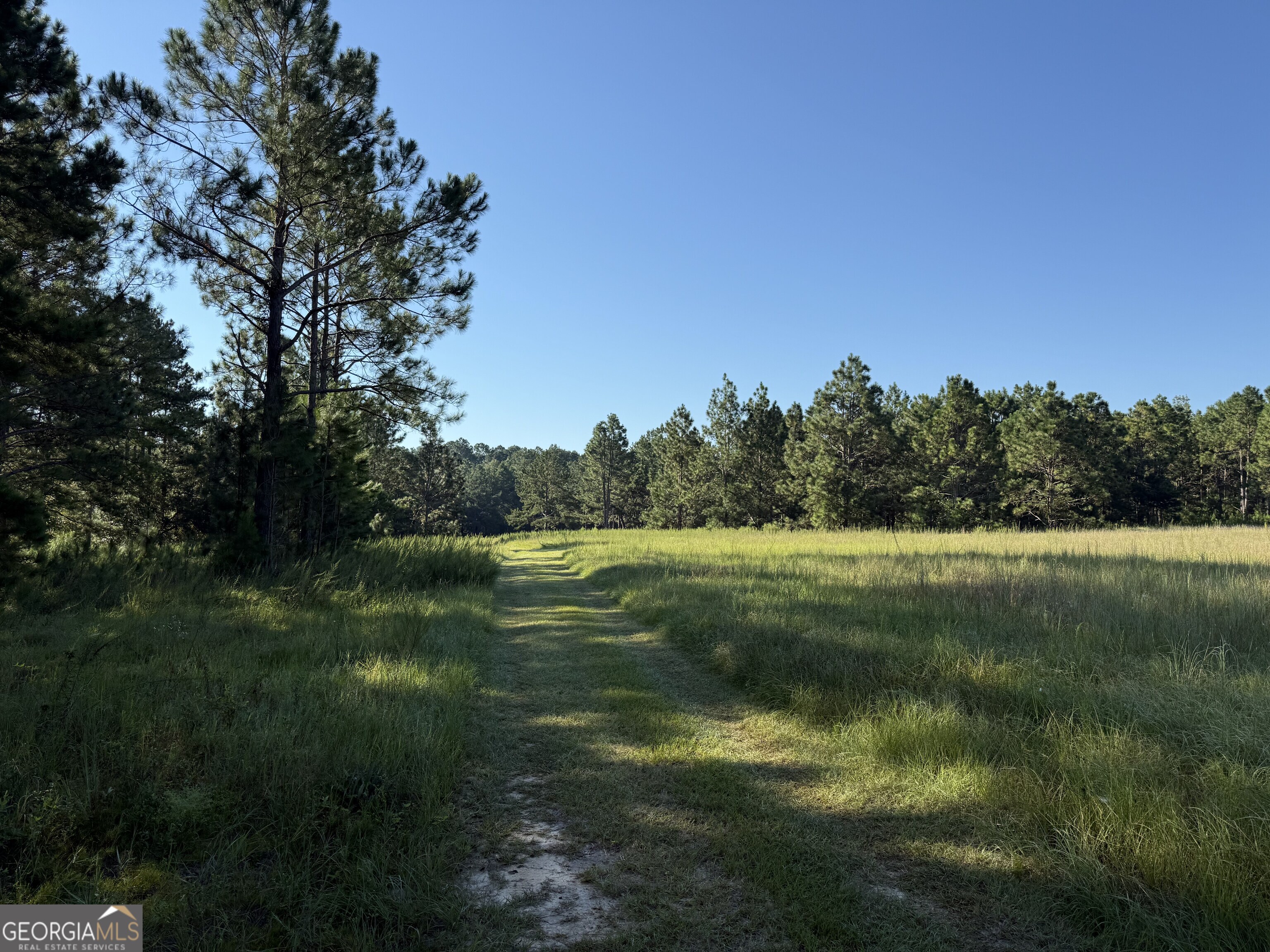 0 Sunbury Road, Unit TRACT 4 Claxton, GA 30417 - Photo 4 of 8 a big yard with lots of green space