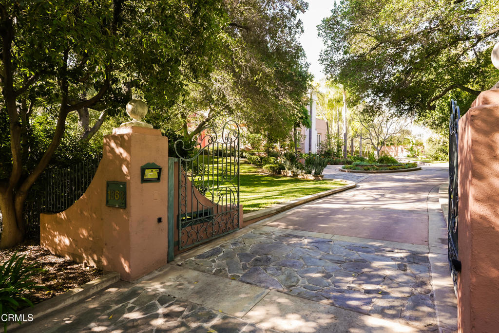 a view of a park with large trees