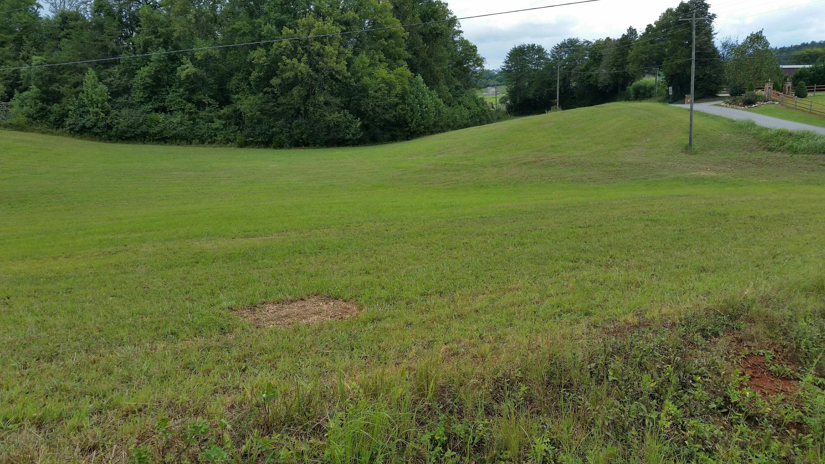 Sinking Creek Road Greenback, TN 37742 - Photo 2 of 4 Sinking Creek on Peterson toward right
