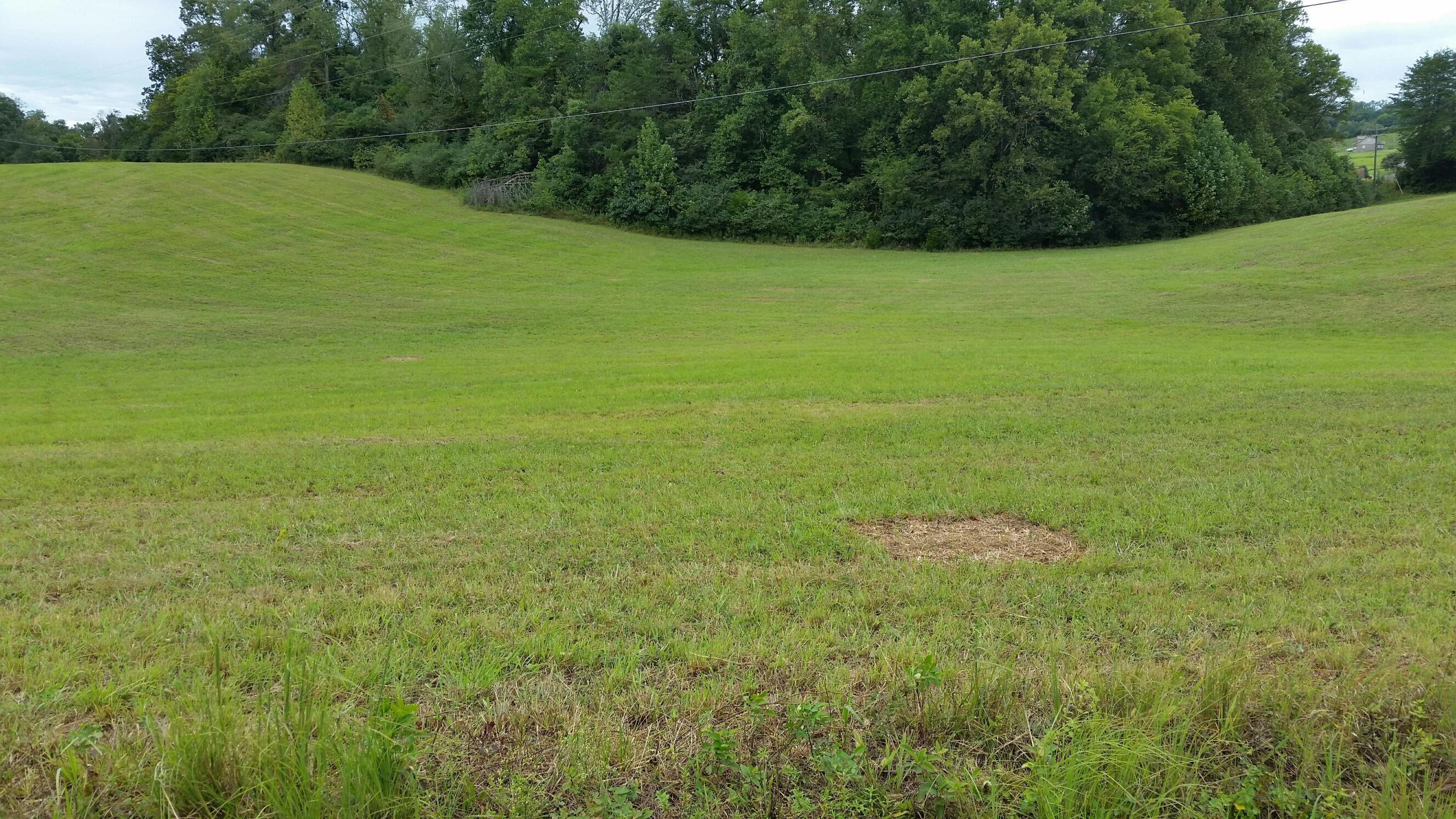 Sinking Creek Road Greenback, TN 37742 - Photo 3 of 4 Sinking Creek. from Perterson. straight