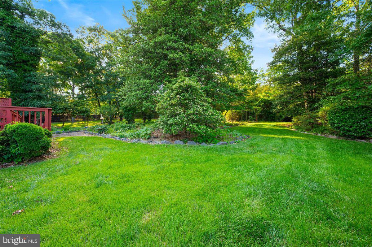 2208 Muskogee Street Adelphi, MD 20783 - Photo 61 of 71 a view of green field with trees in the background