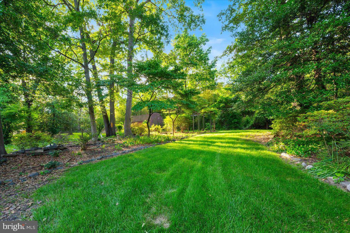 2208 Muskogee Street Adelphi, MD 20783 - Photo 62 of 71 a view of a park with a tree