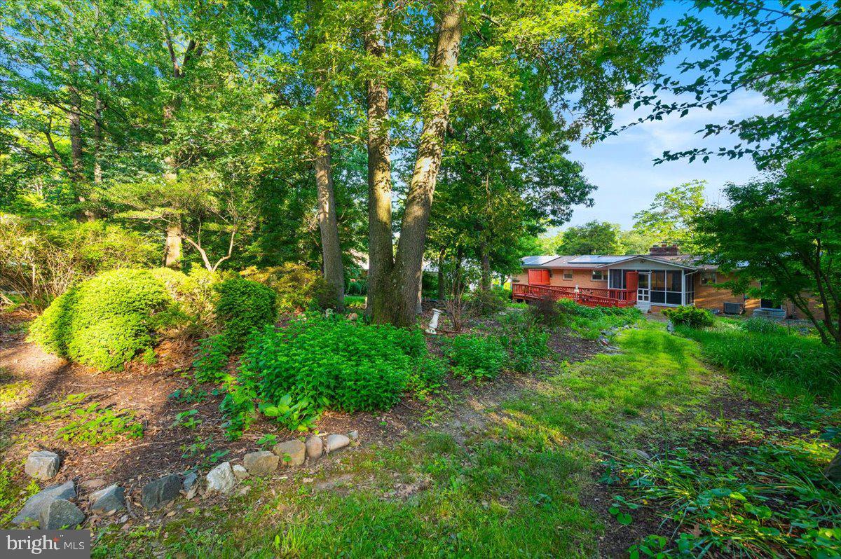 2208 Muskogee Street Adelphi, MD 20783 - Photo 64 of 71 a view of house with yard and trees in the background