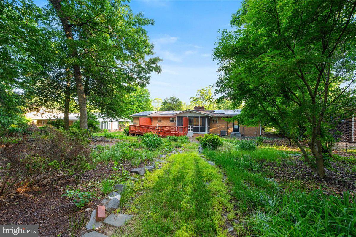 2208 Muskogee Street Adelphi, MD 20783 - Photo 65 of 71 a view of a backyard with plants and large trees