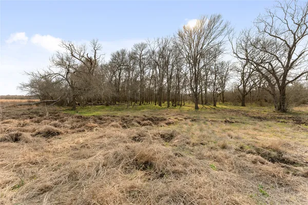$1,428,450 | 2 Cr 117 Hungerford Tx 77448, Wharton, TX 77488