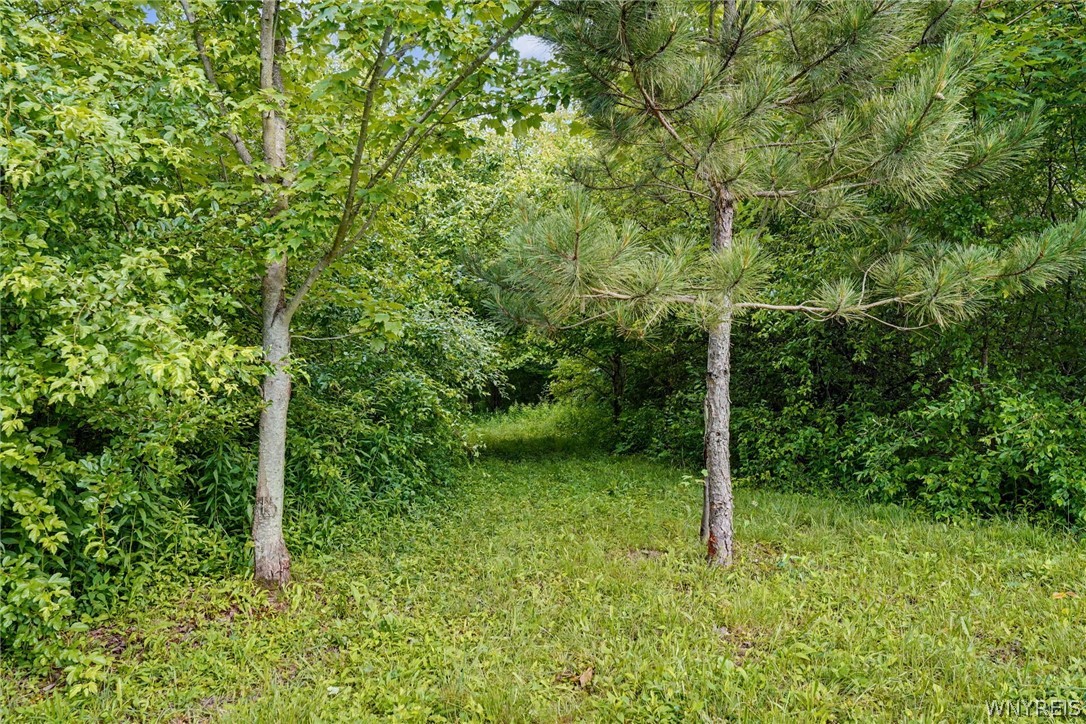 7240 New Hudson Road New Hudson, NY 14717 - Photo 13 of 33