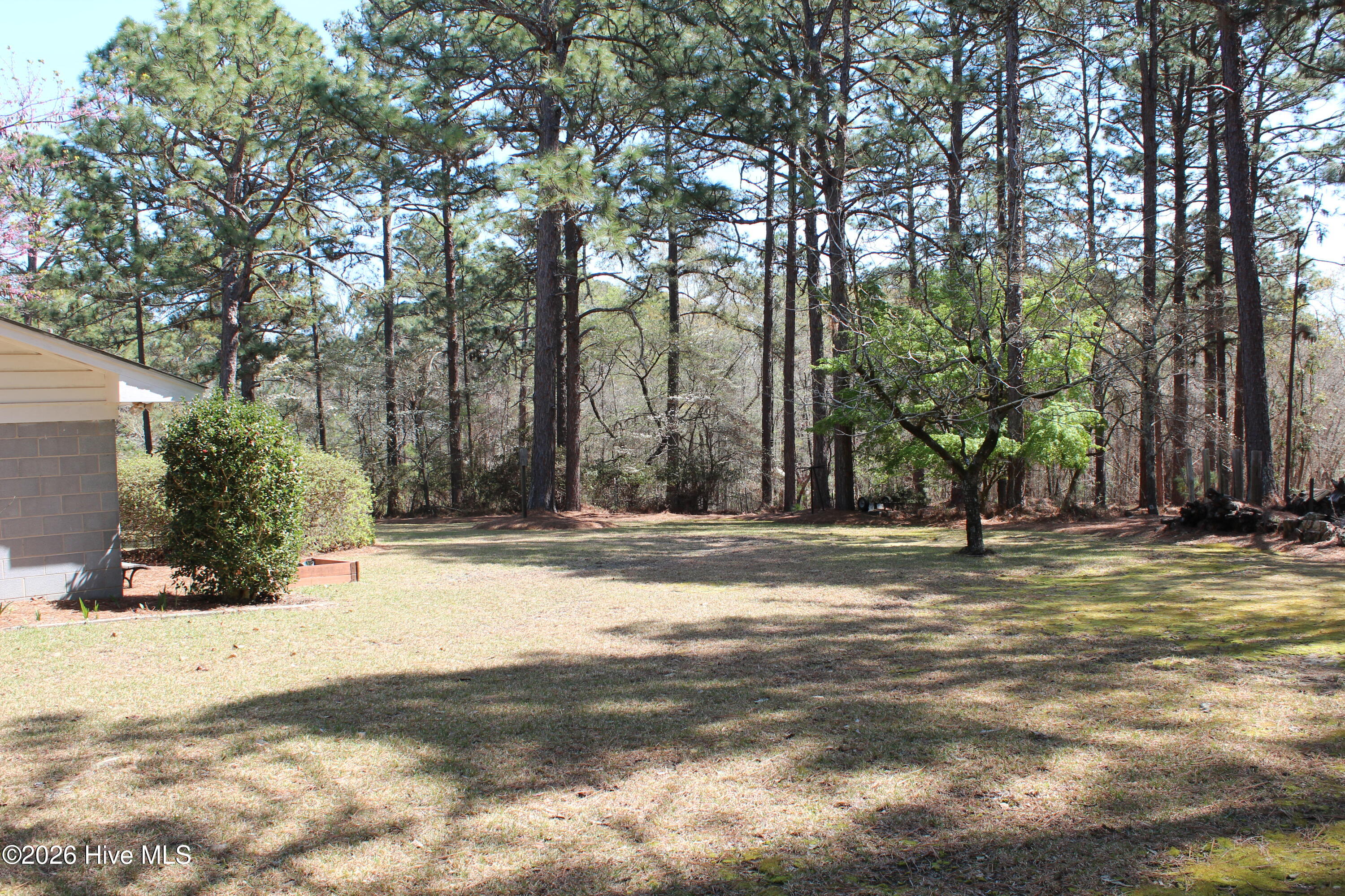 1681 Juniper Lake Road West End, NC 27376 - Photo 12 of 30 IMG_4638