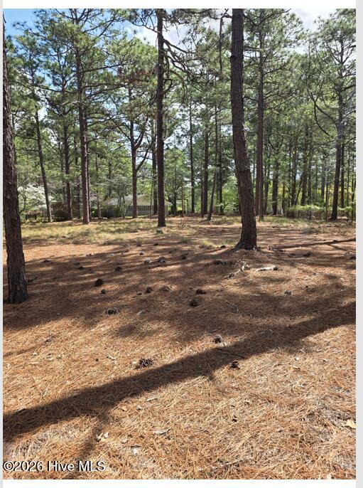 1681 Juniper Lake Road West End, NC 27376 - Photo 13 of 30 pic8