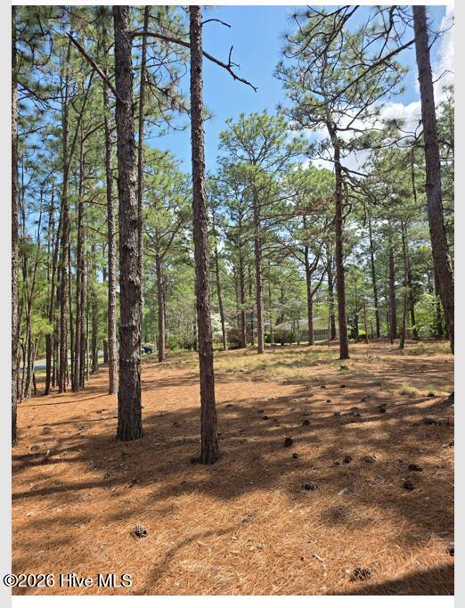 1681 Juniper Lake Road West End, NC 27376 - Photo 14 of 30 pic9