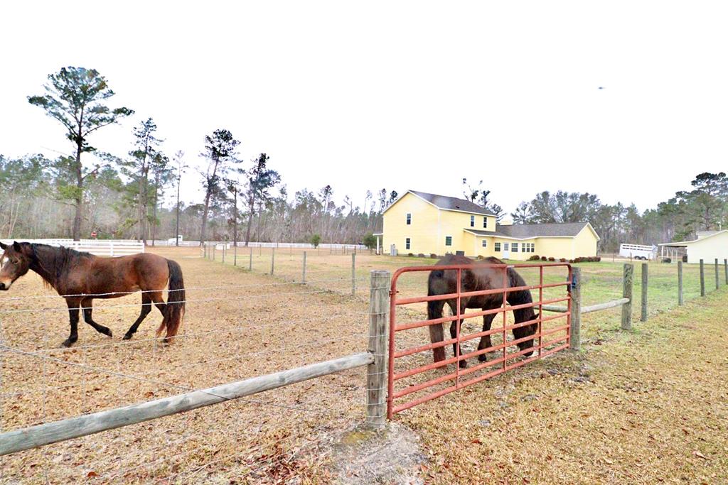 6570 Good Hope Road Naylor, GA 31641 - Photo 74 of 82 Gallery Image 74