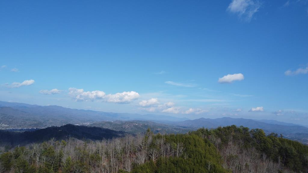 Lot 14 Patriot Ridge Murphy, NC 28906 - Photo 15 of 25