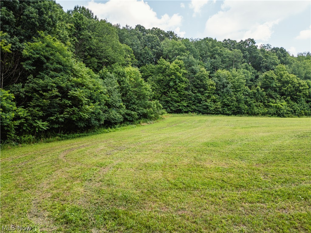 85 Township Road Baltic, OH 43804 - Photo 32 of 48